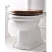 RETRO WC sedadlo Soft Close, orech/bronz